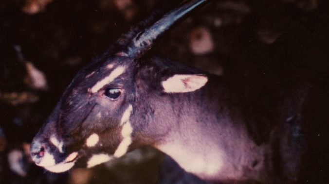 28560535993_0fd7776ce4_o-1260x708