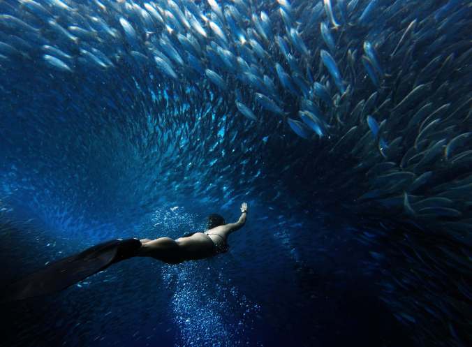 15tb-sardines-superjumbo