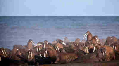 ap_16281732045464_wide-253ae041d7cf2035c25a21f614330c82b0673230-s400-c15