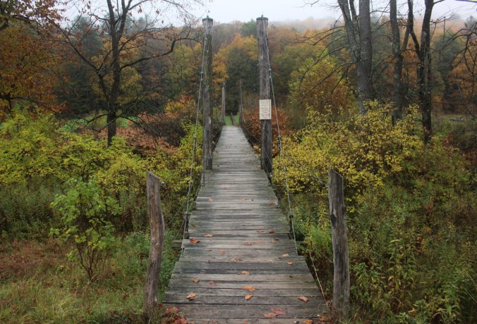 img_4002-58_custom-e07c5a73d9c530cfd3b5ce3232509e17950feb69-s1100-c85