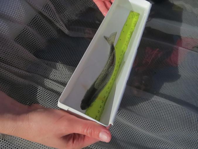 kim-newlifealongwashingtonstateselwhariver2-1200