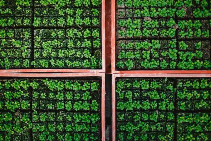 00farmers3-superjumbo