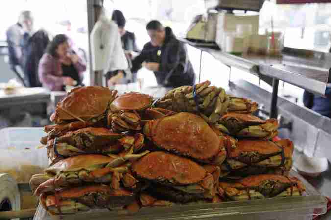 ap_286343091944_custom-bffe1e8195b88f3f61deab4f6911189881930511-s1100-c15