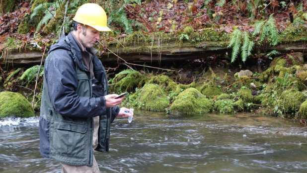 edna1_wide-f1e53a765d91f7ae83f6e99cbe0c43bfc725c9e9-s1400-c85