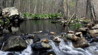 Along the Saugatuck Trail in Devil’s Den. Photo © Alden Warner 