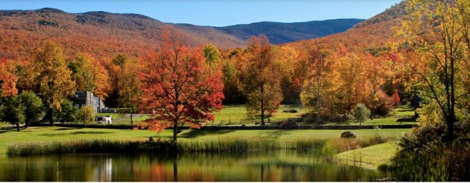 Screen Shot 2017-01-10 at 10.10.04 AM.jpg