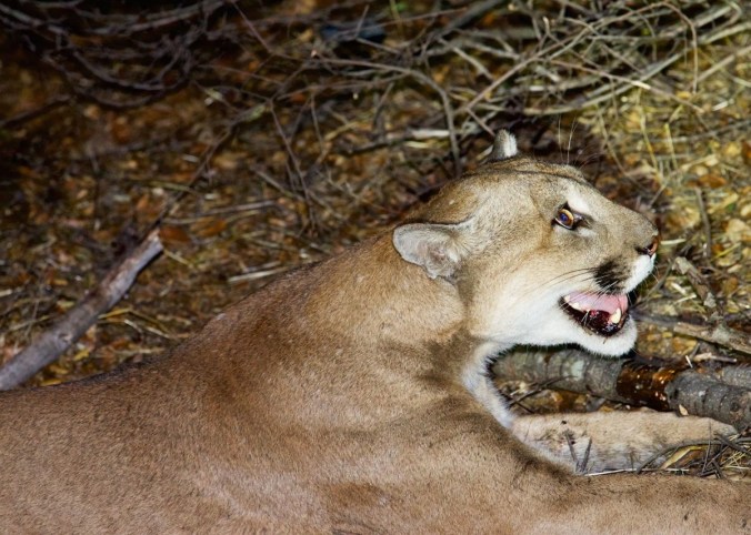 170213_r29424-1200x857-1486067005