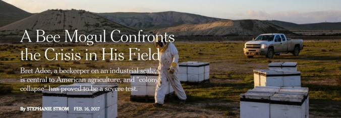 BeeMogul.jpg
