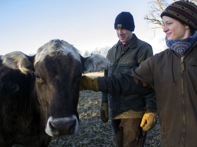 cheese1-c6070525cade53b6706864da524537124dd434af-s1400-c85