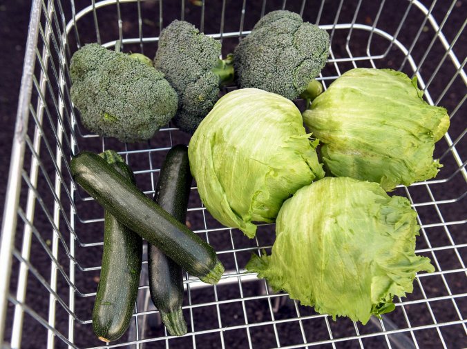 vegcrisis_1-2-5a935c2edcf303caf9d2c322914a74c41ca02089-s1400-c85