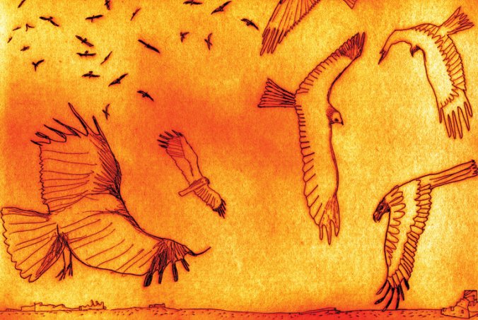 27REDNISS1-master768