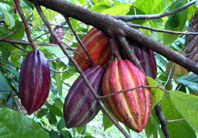 59417_orig_custom-915406cf70e2af518f4441fd5d23a7fd2512008d-s1400-c85-1