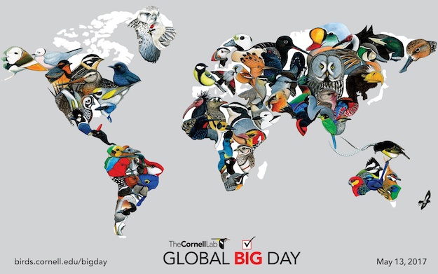 Cornell_Lab_Global_Big_Day_Map-625px