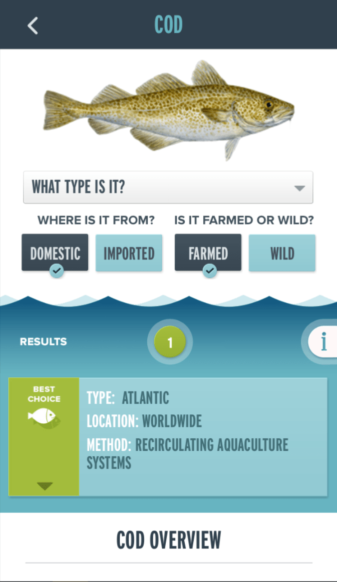 image1-25-_custom-3db4ae8eae0b5e55705a0a56736bb1277bb1d1e3-s1400-c85