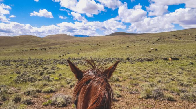 Project2016-92-1260x708