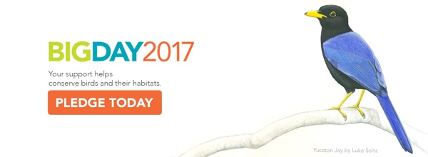 BigDay_Email-banner_032817