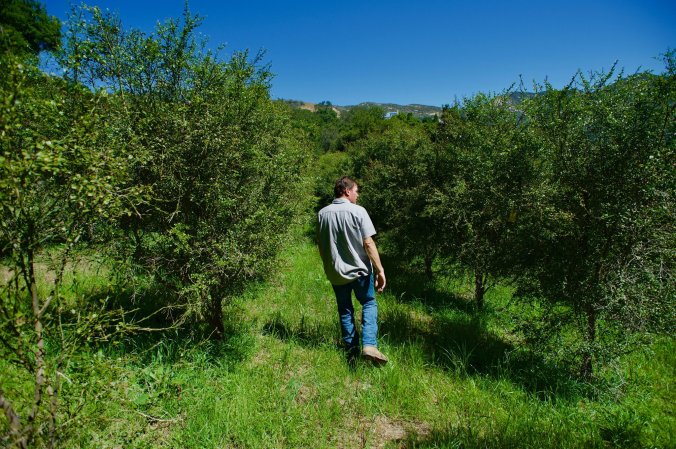 27COFFEE1-superJumbo