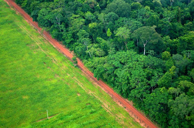 deforestation-and-agriculture.jpg