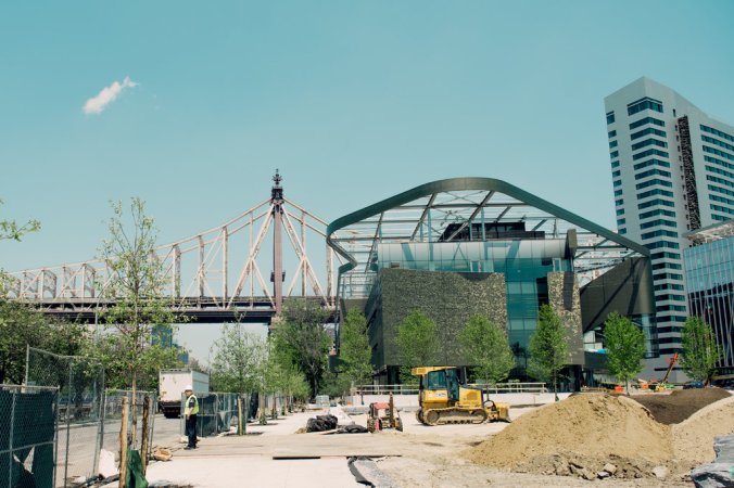 oakImage-1495980544830-jumbo (1).jpg