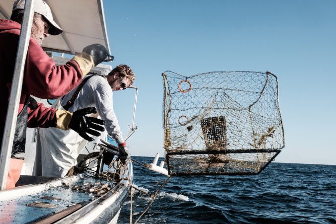 170522_Smith Island selects-018.jpg