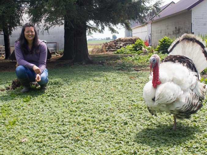 071417_grazing_johnson_turkey1-aa3481f251f2ec4caf6ae0f6d9cb3b126622bccd-s1300-c85
