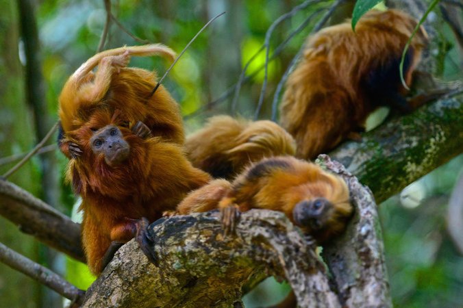 22CORRIDORS2-master675