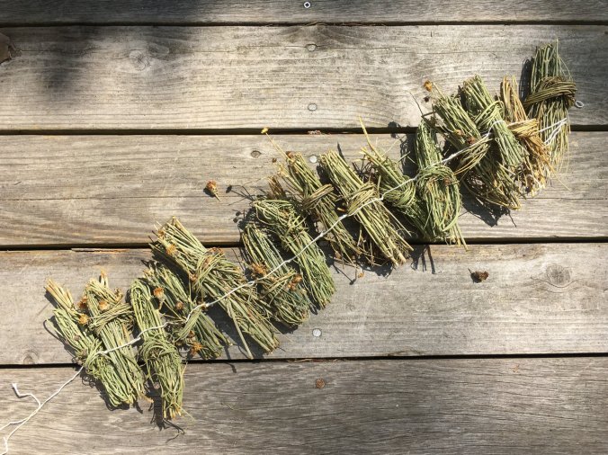 garland2_custom-1d9e1c90351b0643bdc75c5165546a671754eec4-s1300-c85