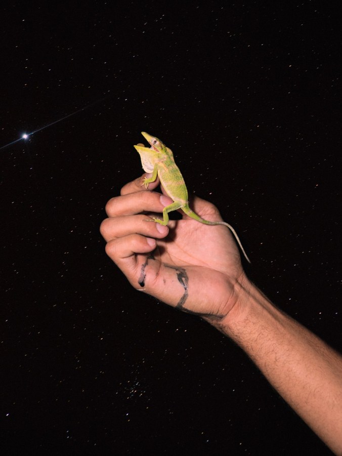 Ginarte-Balarama-Heller-zeroatthebone09