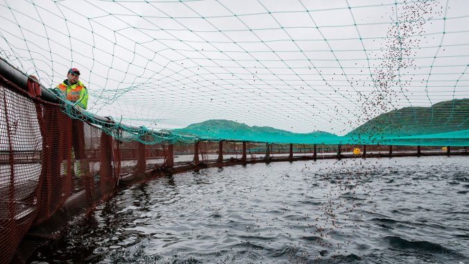 nets-1_wide-01c3b5ebd0d717bd50433e402fd75dc5e35d6f44-s1300-c85