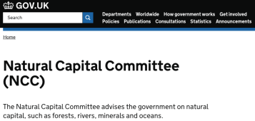 Screen Shot 2017-08-09 at 10.54.29 AM