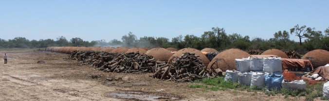 1-f_LUdJ744pFNFjVrM-NZXg