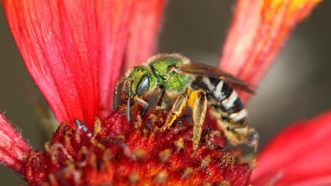 6809056483_1fca1d909d_o-e1506623067863-1260x708