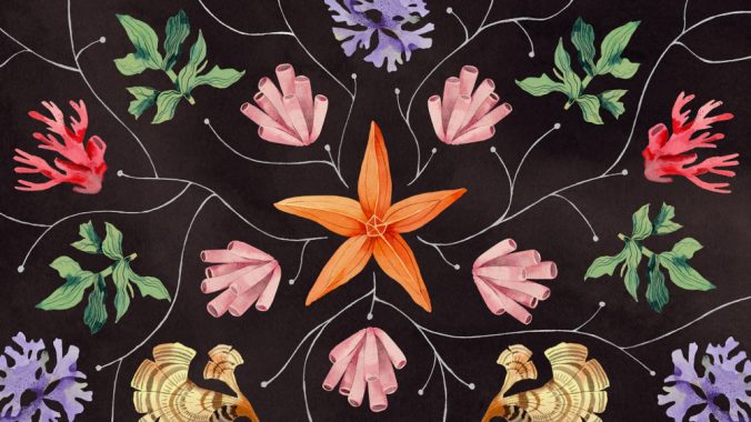 lrivera-species-yale