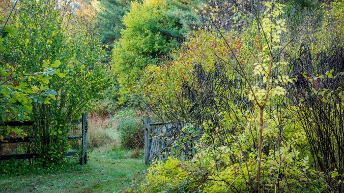 19GARDEN-slide-7SIM-videoSixteenByNineJumbo1600