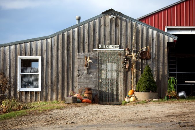 23FEMCHEESE-5-master675