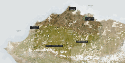 Screen Shot 2017-11-11 at 8.40.28 AM