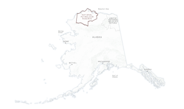 Screen Shot 2017-11-11 at 8.42.01 AM