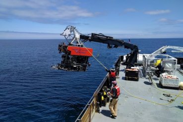 00TB-FOODWEB-ROV-master675