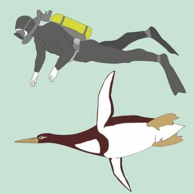 19SCI-ZIMMER-blog427