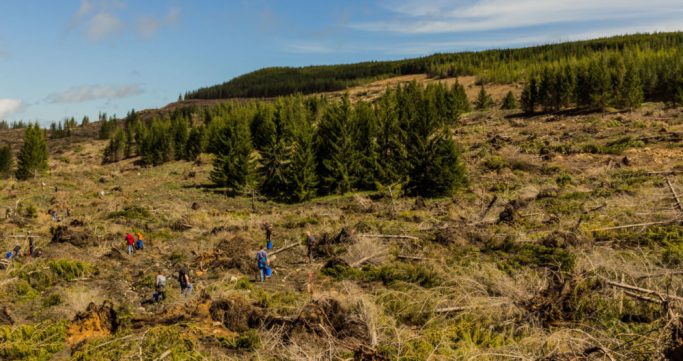 5.5.17_Monongahela-36_web