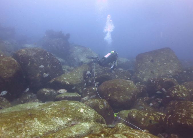 Diver_surveying_overgrazed_reef_web