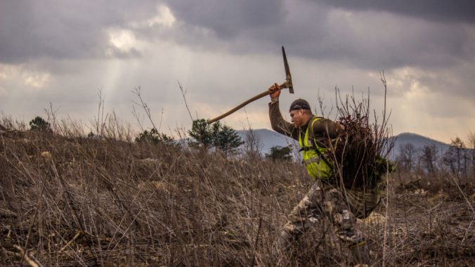 Flatwoods_WFA_2.10.17-26_web