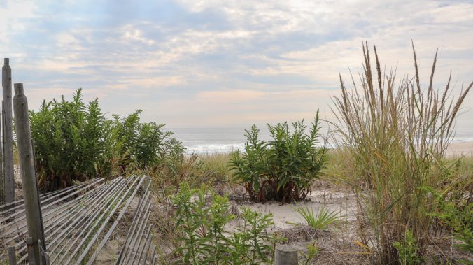 Crofton 12U Select 2017 Season