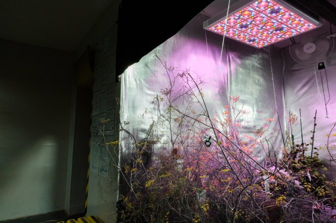 merlin_130952804_21d078f7-256d-4604-a43b-8e6c475a257d-superJumbo