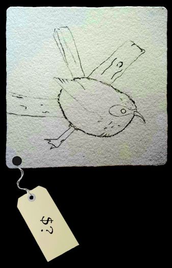 Can we put a price tag on birds we see?
