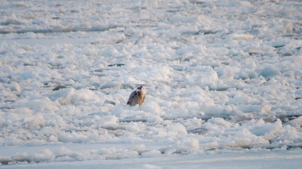 26962169-2198855633461749-8687455608416349565-ojpg-502d6be118f582bc