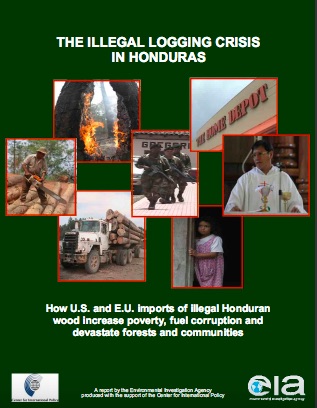 Honduras Logging