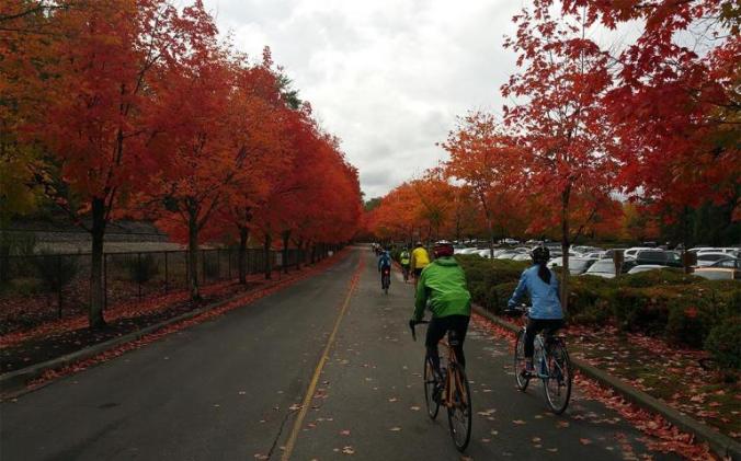 SIERRA Renton Gene Coulon Park WB