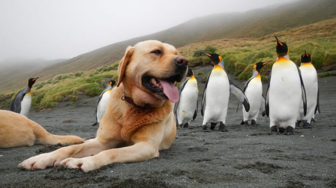 KarenAndrew_Finn-1-1260x708