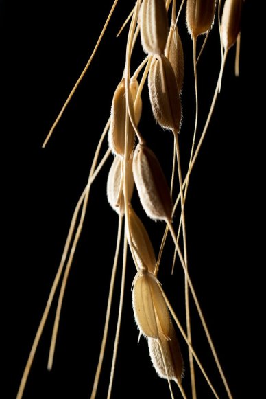 merlin_133382781_2e684dde-7527-4a19-8880-d577f8e40ec9-jumbo